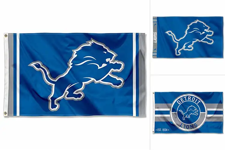 Detailed view of Best Detroit Lions Double Sided Flag