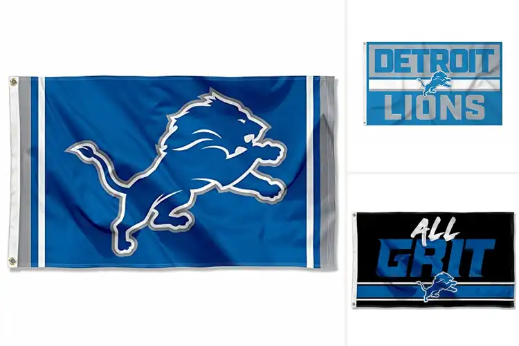 Detailed view of Best Detroit Lions Licensed Flag: Top 10 Picks