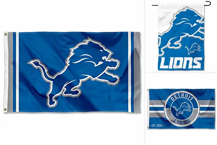 Detailed view of Best Detroit Lions Logos Readable Both Sides
