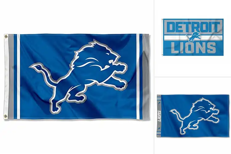 Detailed view of Best Detroit Lions Outdoor Flags