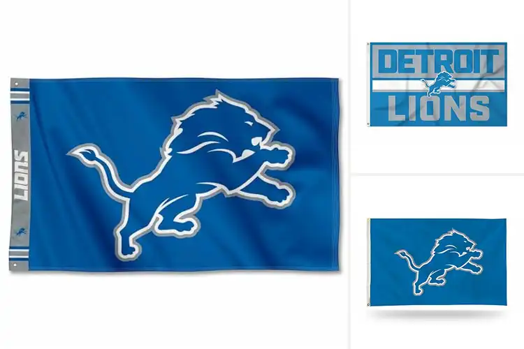 Detailed view of Best Detroit Lions Pride Flag