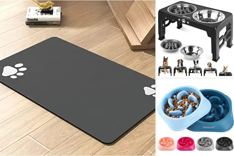 Detailed view of Best Dog Feeding Accessories