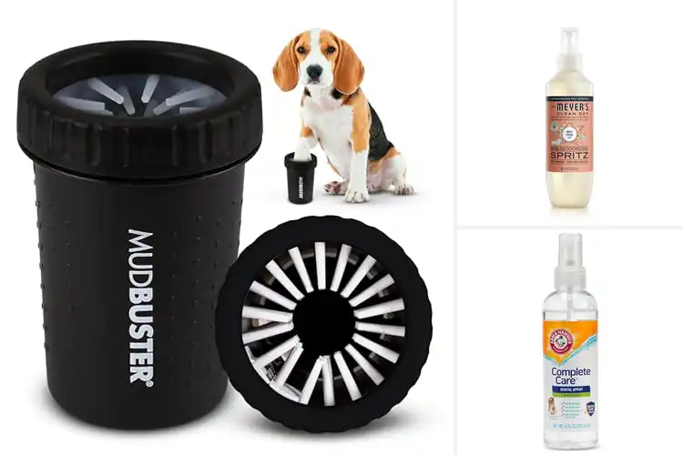 Detailed view of Best Easy-Clean Dog Products