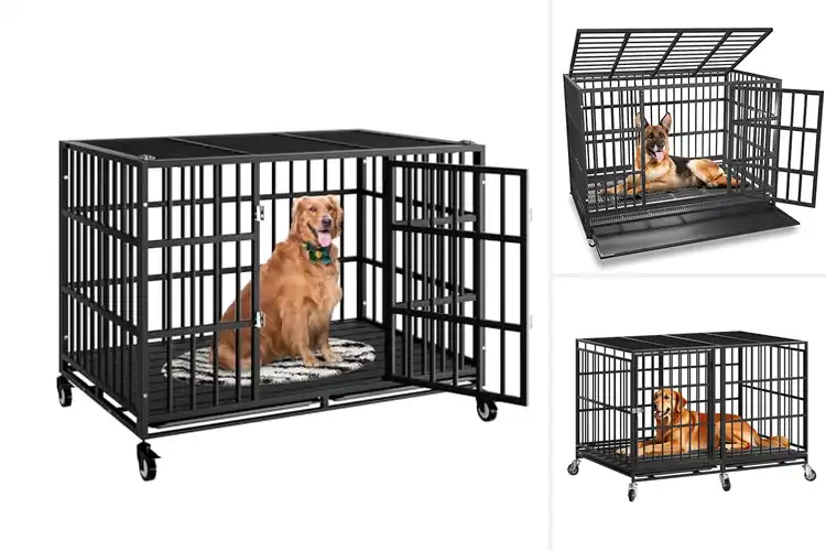Detailed view of Best Escape-Proof Dog Kennels
