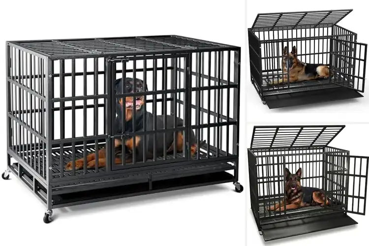 Detailed view of Best Heavy-Duty Dog Crates: Top Picks for Safety & Comfort