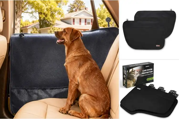 Detailed view of Best Interior Door Panel Protection