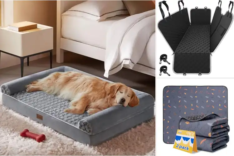 Detailed view of Best Large Dog Supplies