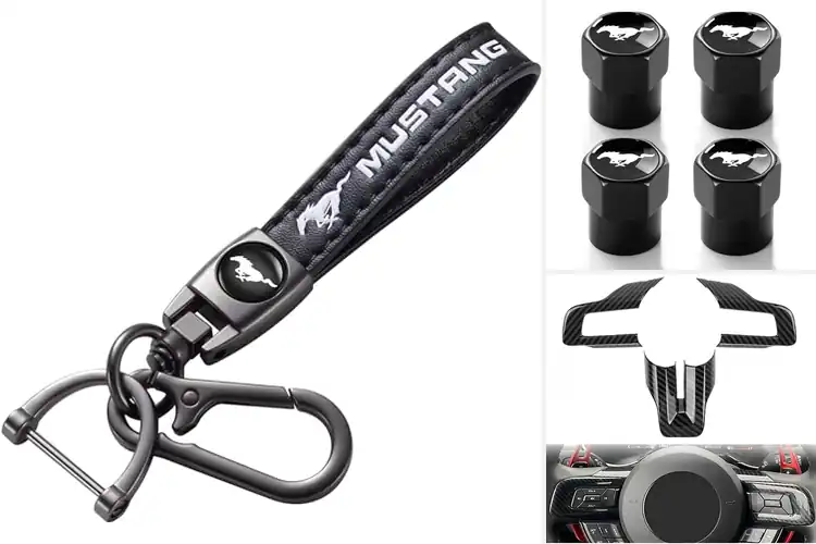 Detailed view of Best Mustang Accessories